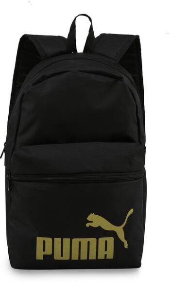 Medium 22 L Backpack Phase Backpack