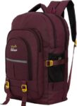 60l-rucksacks-for-men-trekking-bag-tourist-bag-and-travel-bag-in-original-imagt7hhqgmcwhcg.jpeg