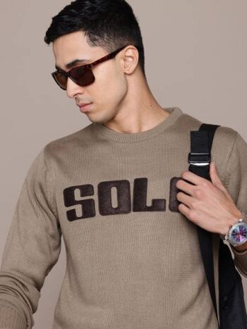 Men Self Design Round Neck Brown Sweater