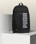 Medium 22 L Backpack Pineer