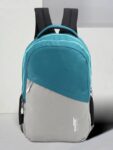 Large 38 L Laptop Backpack Historage Travel / Office