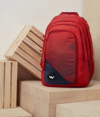 Large 40 L Backpack Colossal