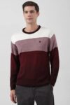 Men Colorblock Round Neck Maroon Sweater