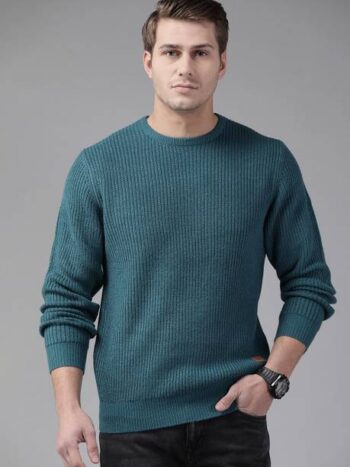 Men Woven Round Neck Green Sweater