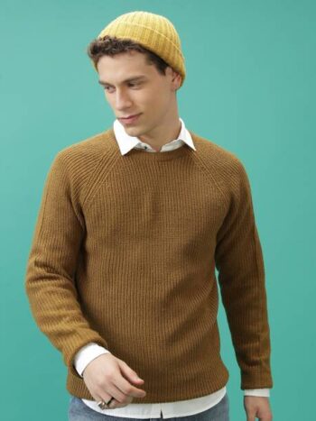 Men Solid Round Neck Brown Sweater