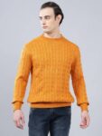 Men Woven Round Neck Yellow Sweater